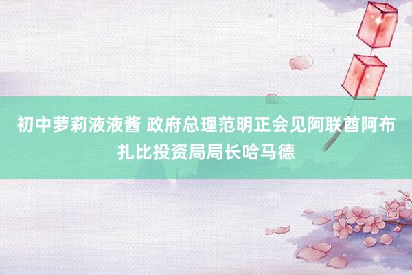 初中萝莉液液酱 政府总理范明正会见阿联酋阿布扎比投资局局长哈马德