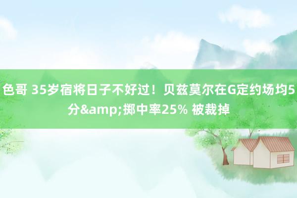 色哥 35岁宿将日子不好过！贝兹莫尔在G定约场均5分&掷中率25% 被裁掉