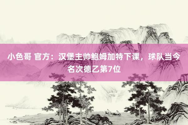 小色哥 官方：汉堡主帅鲍姆加特下课，球队当今名次德乙第7位